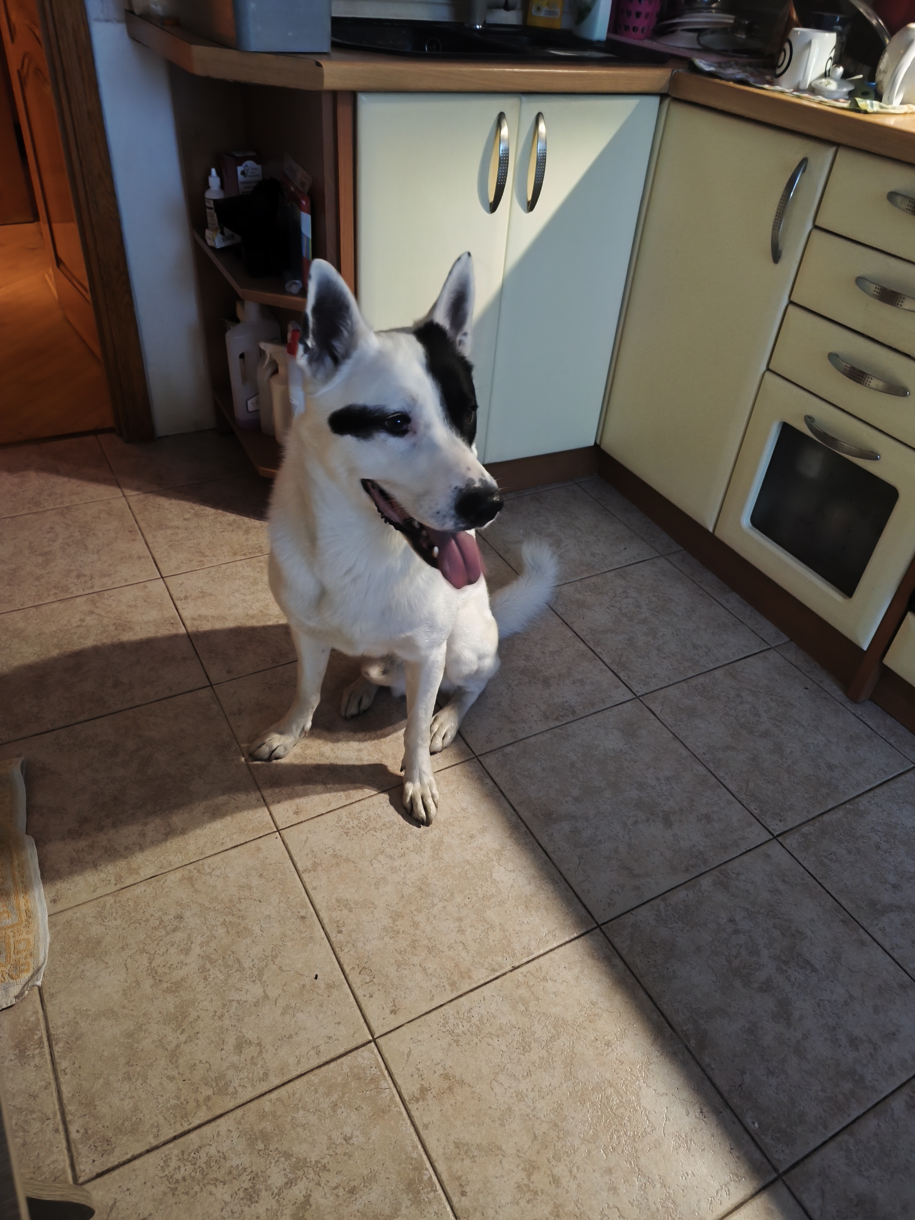 Фото Перетримка веселого Майка