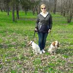 Выгул,передержка собак