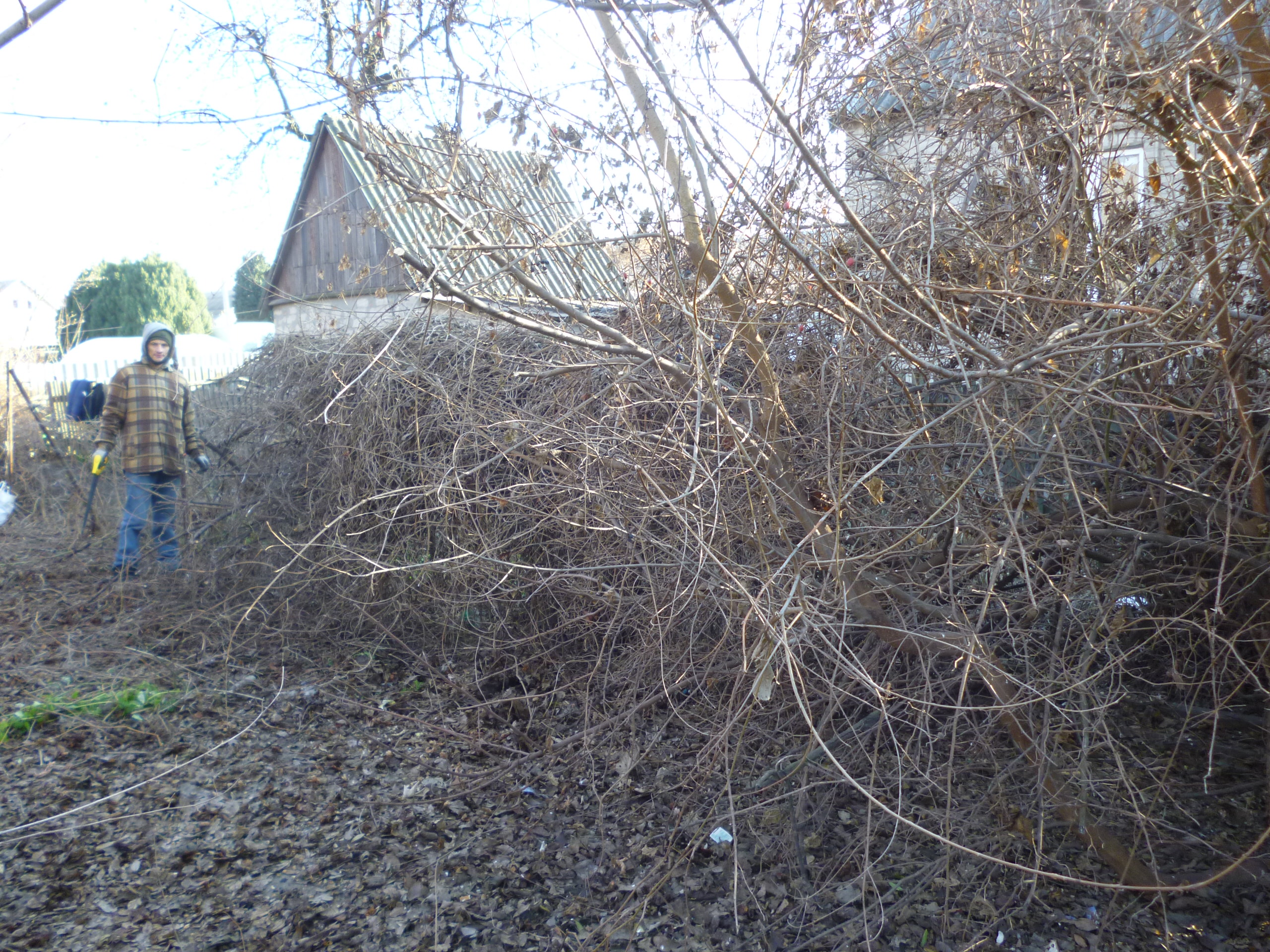 Фото Работы по саду и огороду, быстро и качественно 2