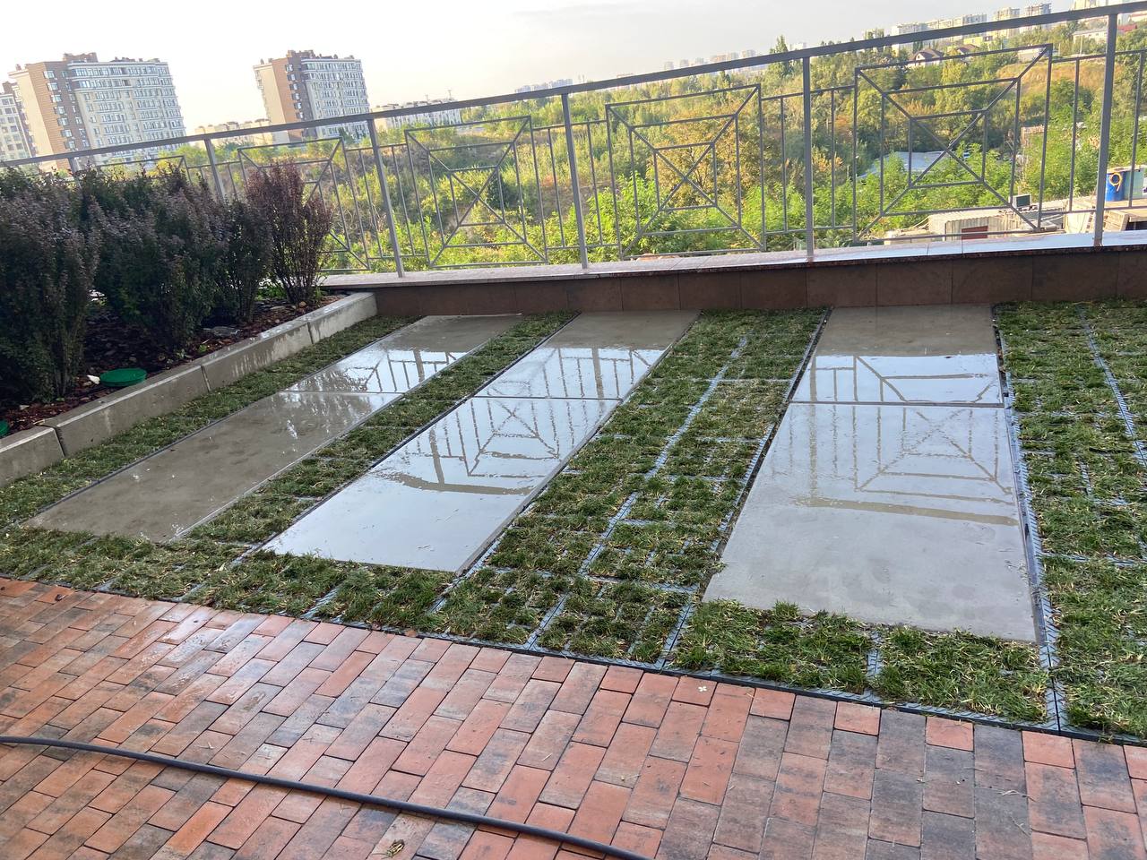 Фото укладка газону