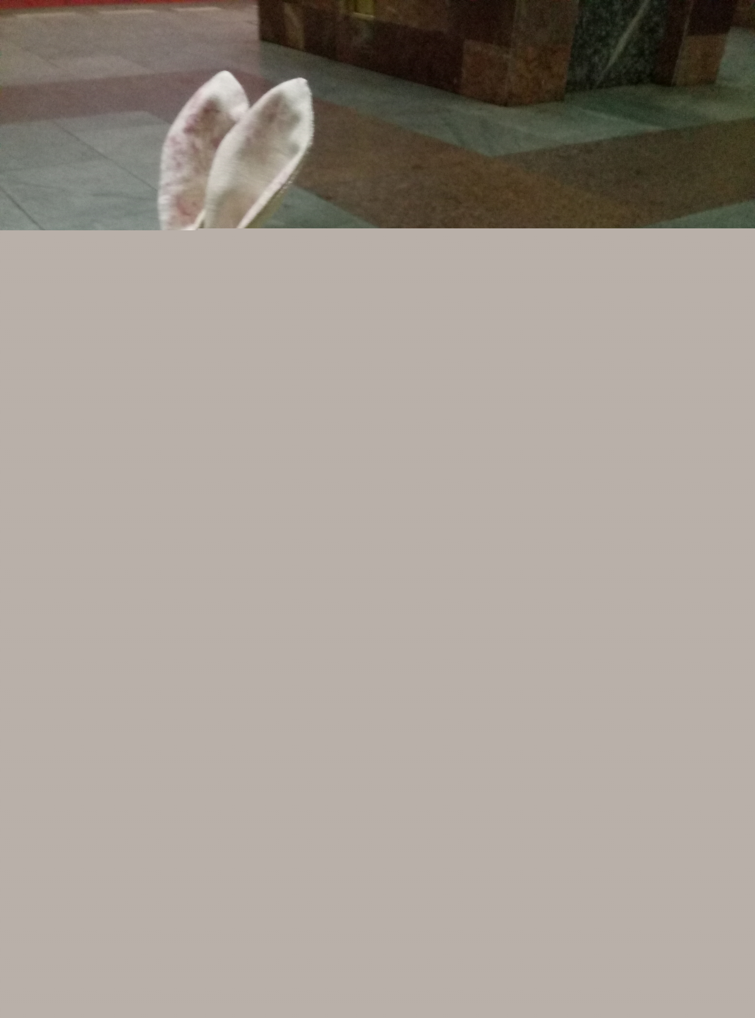 Фото доставка цветов