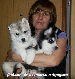 Фото Погуляю с вашей собакой 1
