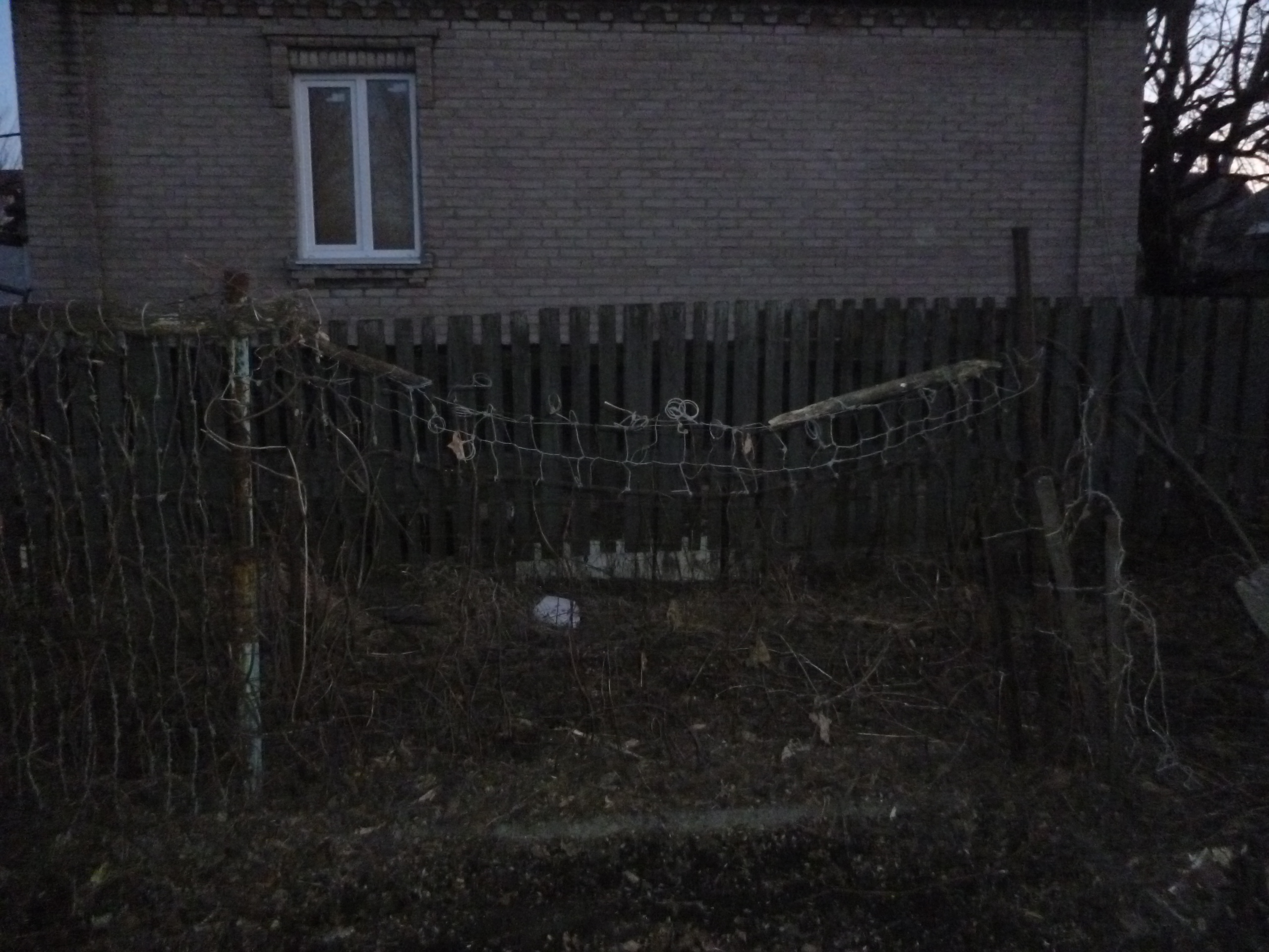 Фото Работы по саду и огороду, быстро и качественно 4