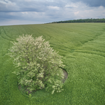 Видеосъемка коптером DJI Air 2S 