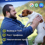SEO специалист по продвижению сайтов — Алексей Шевченко
