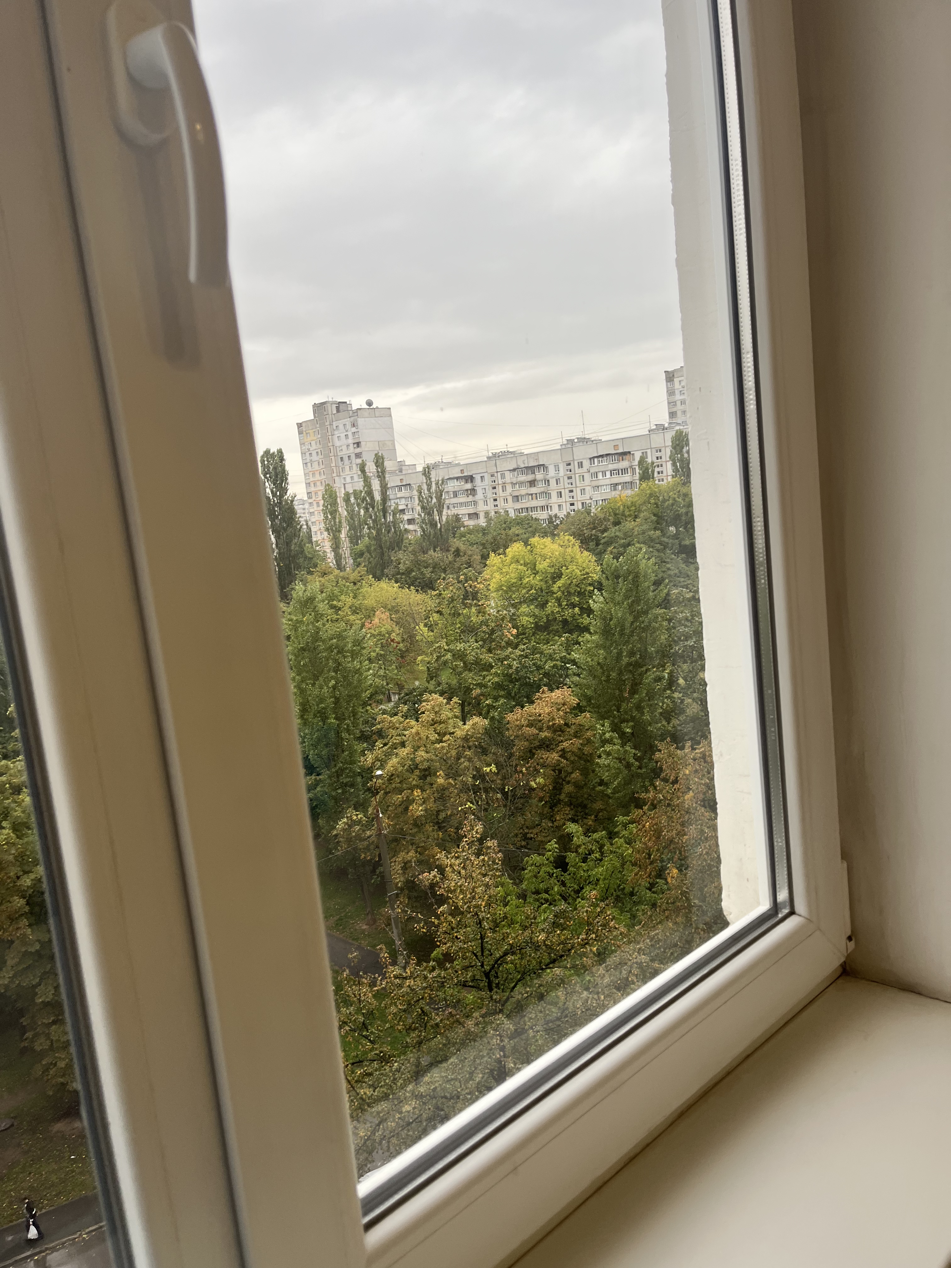 Фото підтримуюче прибирання  1