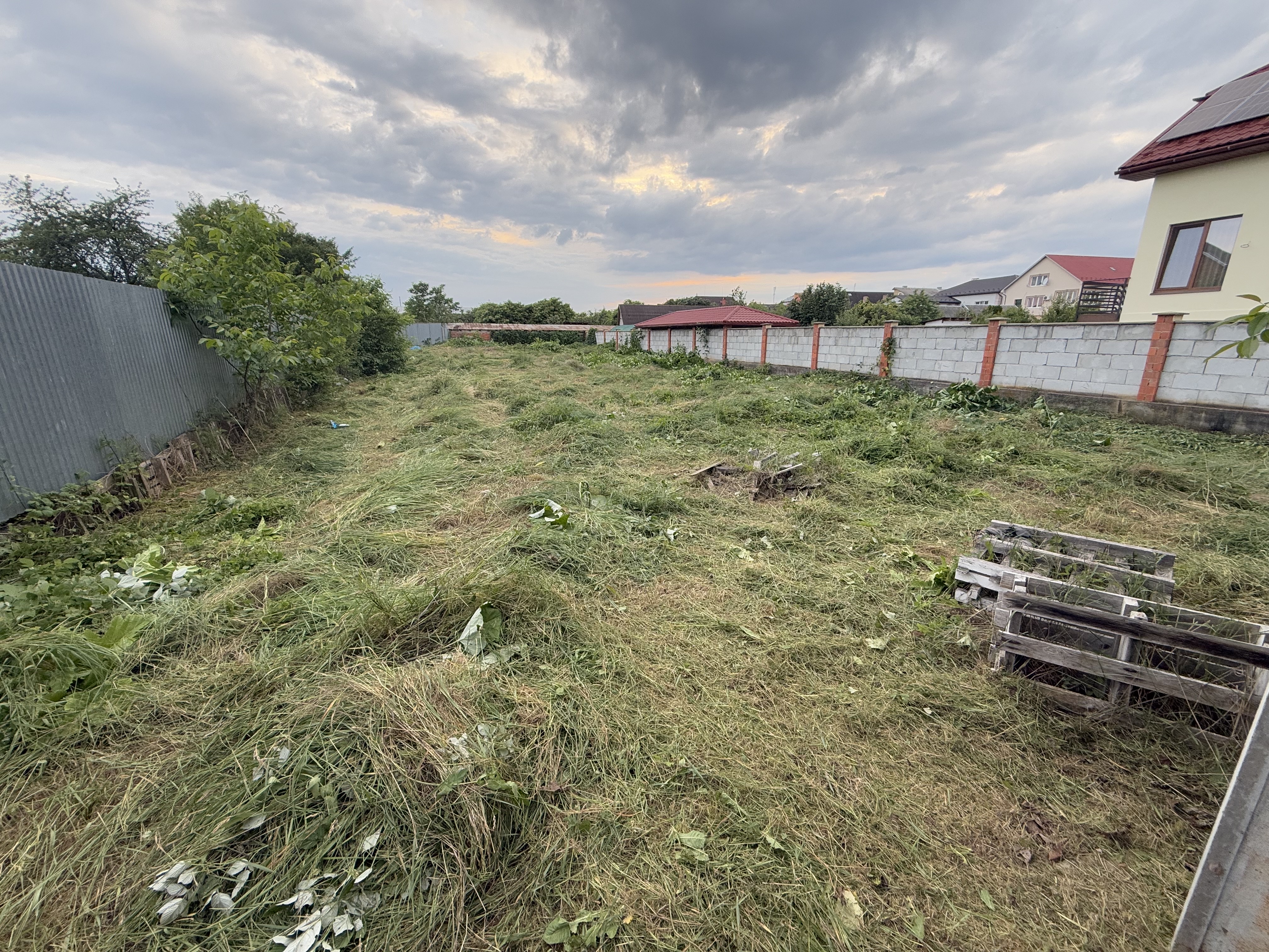 Фото Косіння трави