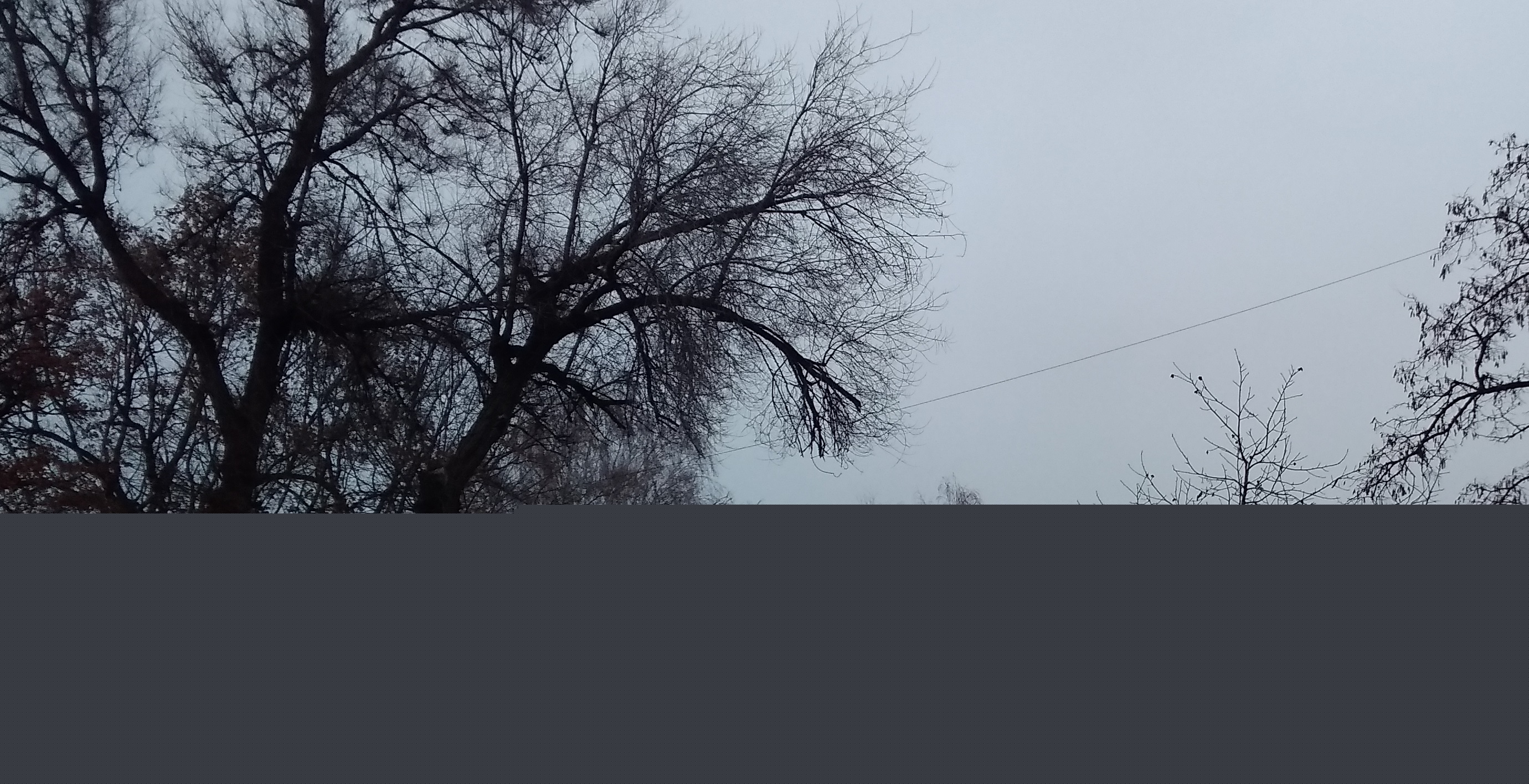 Фото Твёрдая кровля 520 м2 с заменой стропильной части.
6 недель.