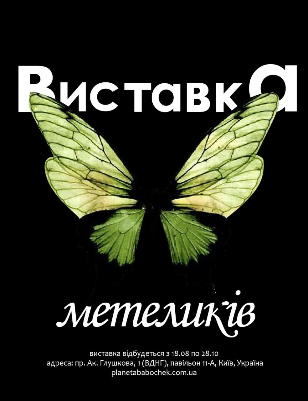 Фото Розробка плакату для виставки метеликів