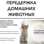 Передержка домашних животных в Ирпене