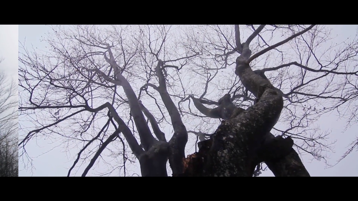 Фото Съемка ролика