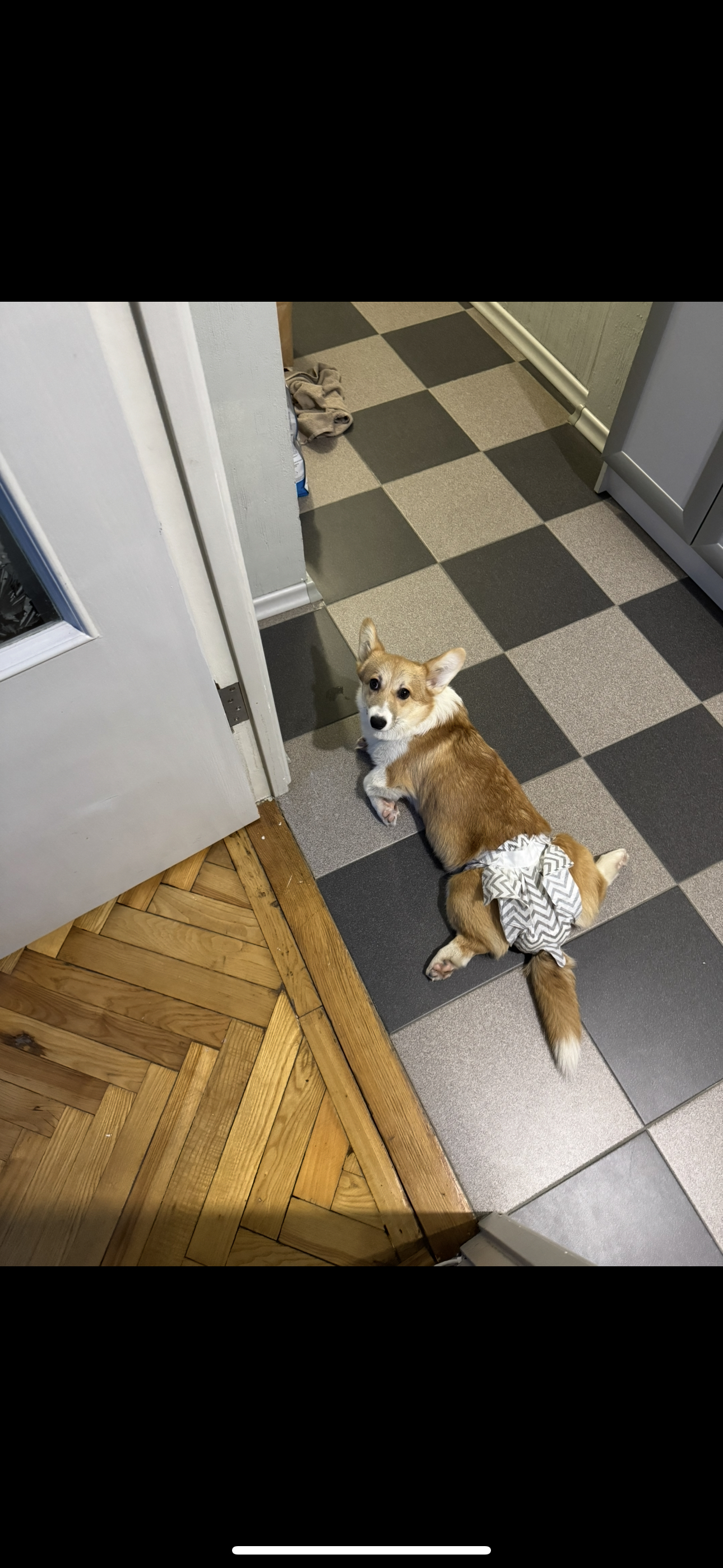 Фото некоторых деток содержим так ..)