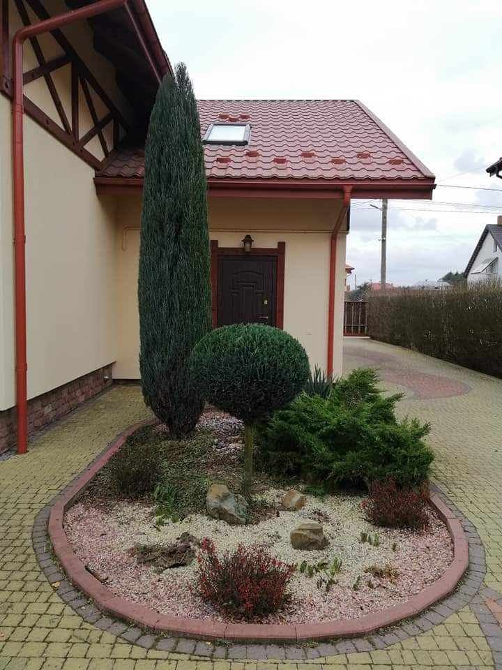 Фото топіарна (фігурна)стрижка