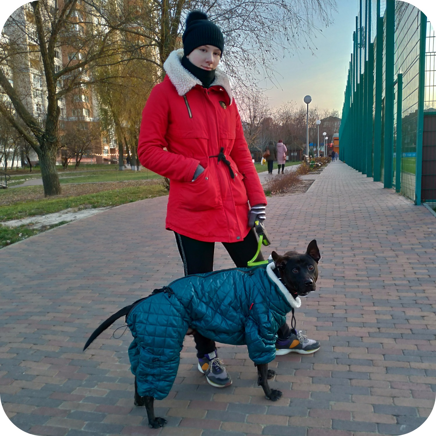 Фото Тайский риджбек Оман. 