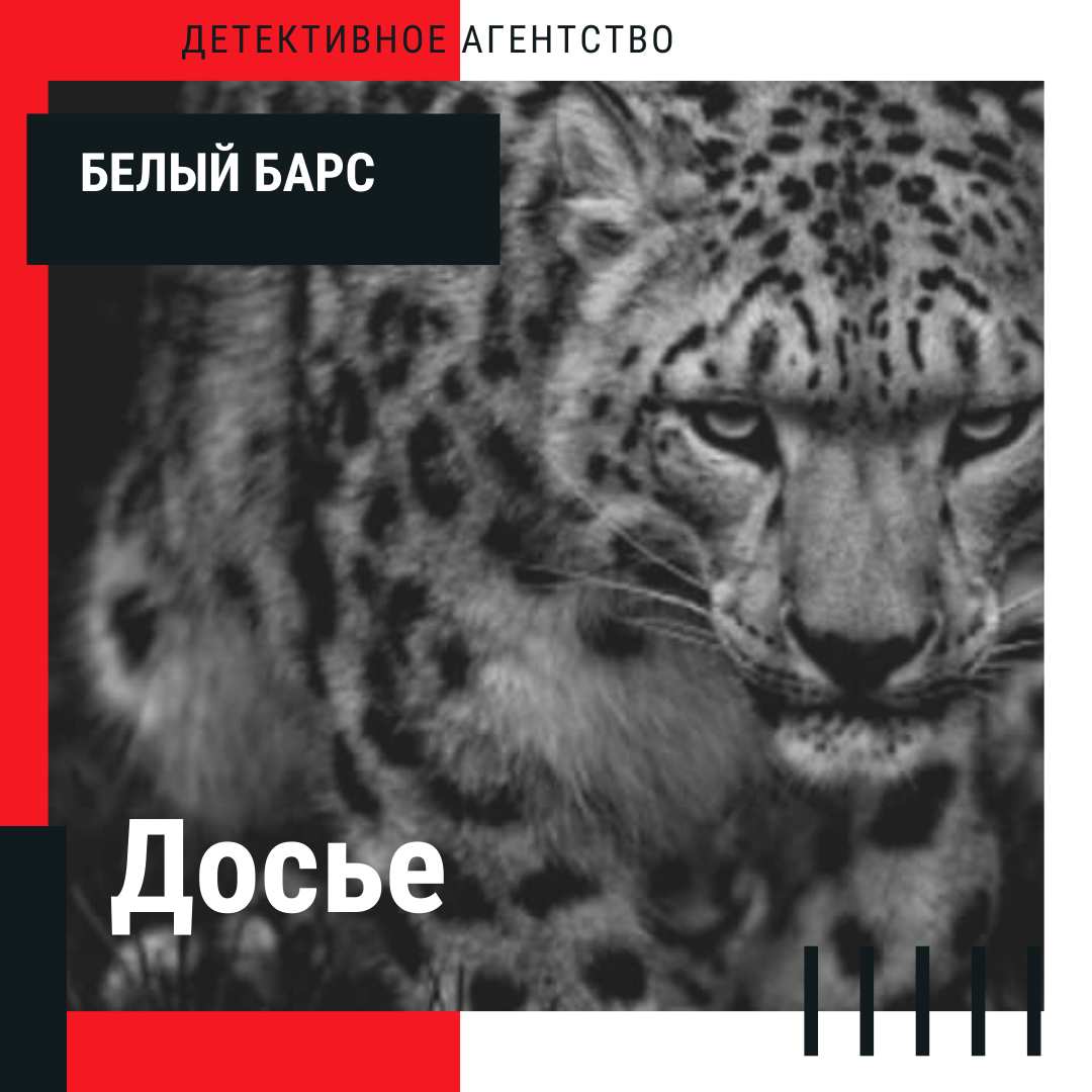 Фото Сбор, поиск информации 1