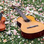 Уроки игры на скрипке для всех +ВЫЕЗД НА ДОМ)