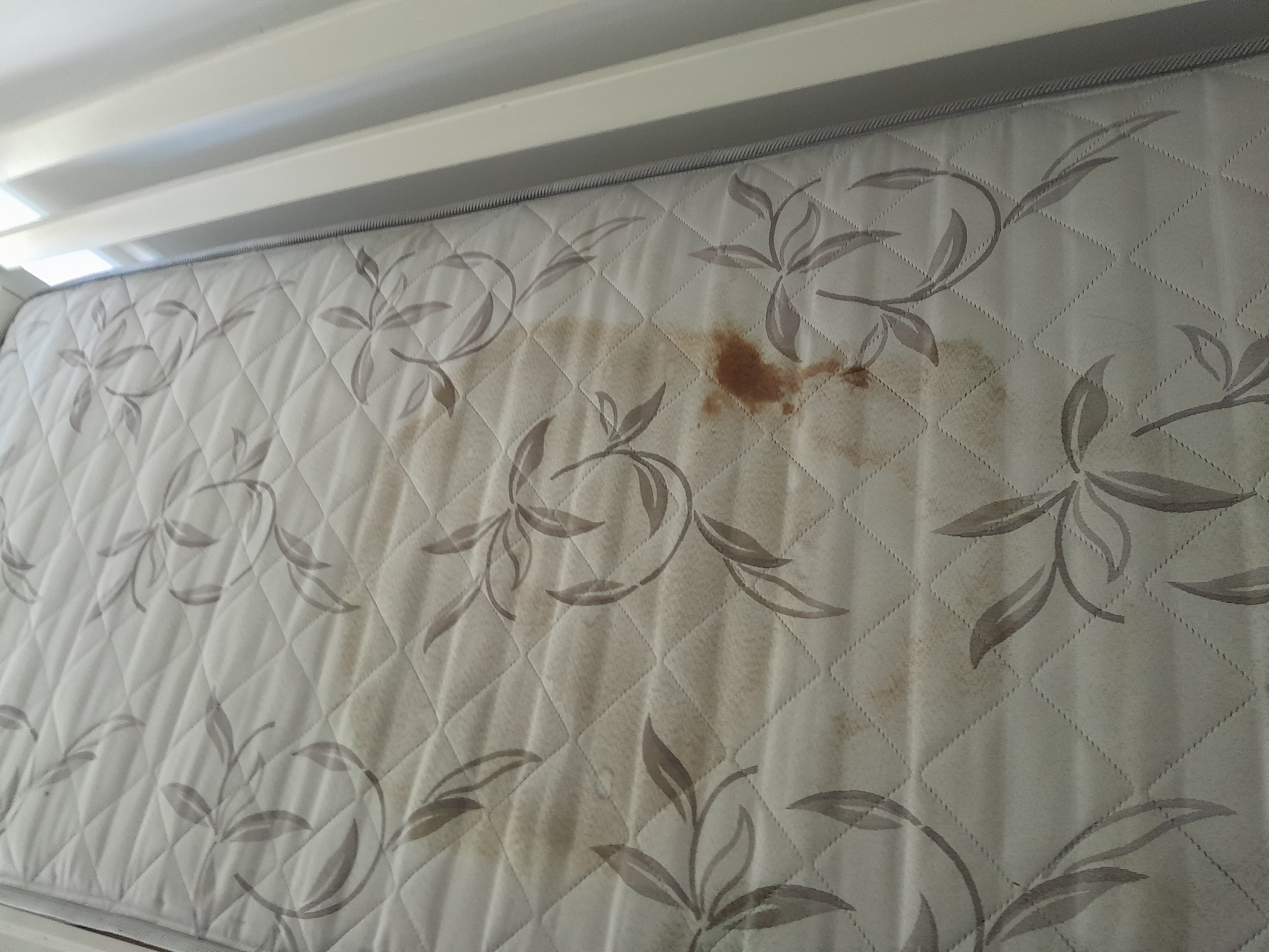 Фото до хімчистки