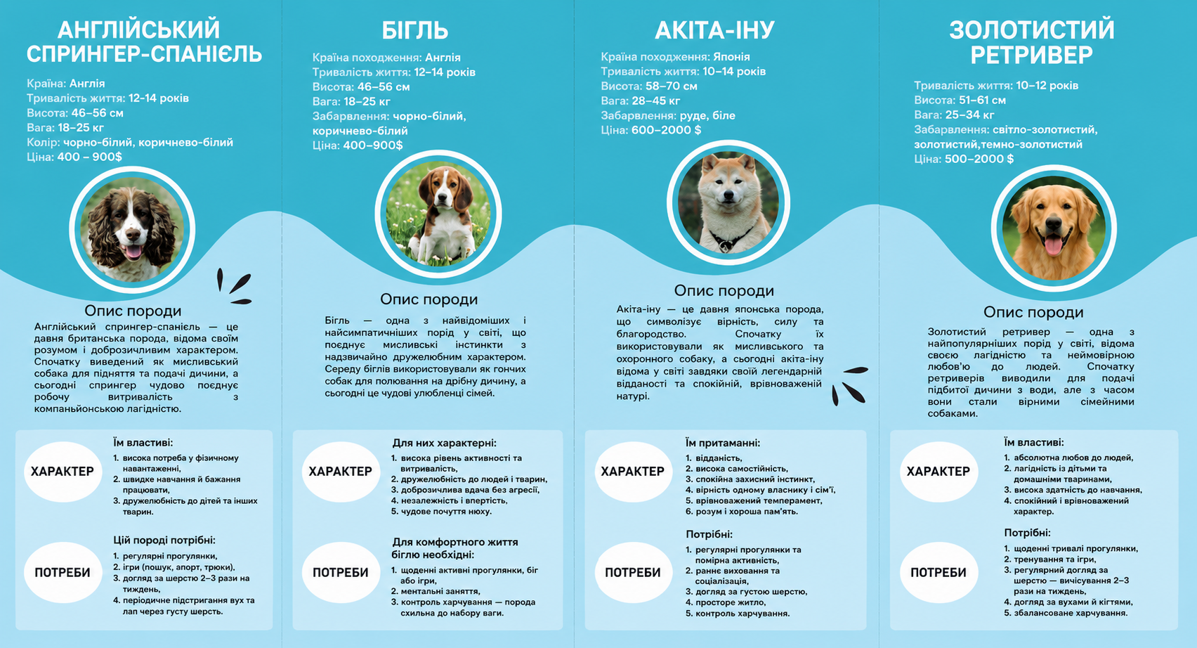 Фото Сучасні рекламні та інформаційні буклети 4