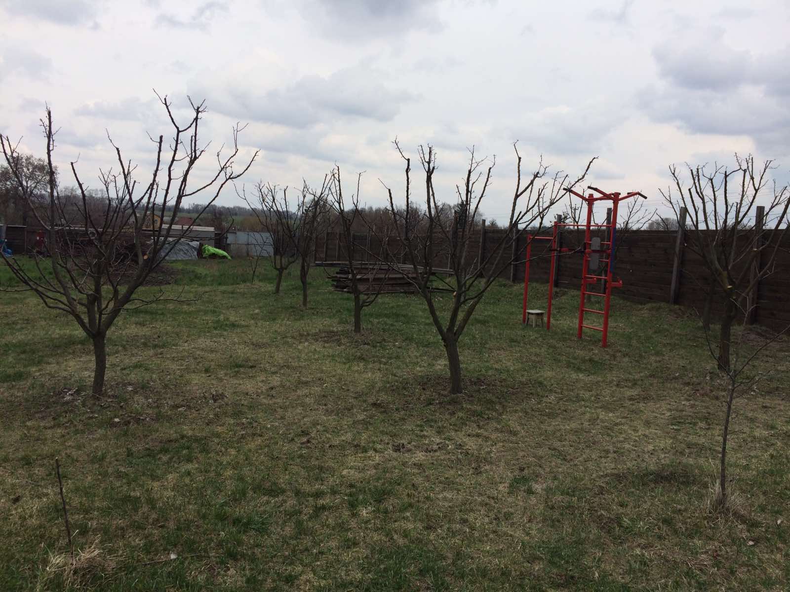 Фото Обрізка дерев, догляд за садом 2