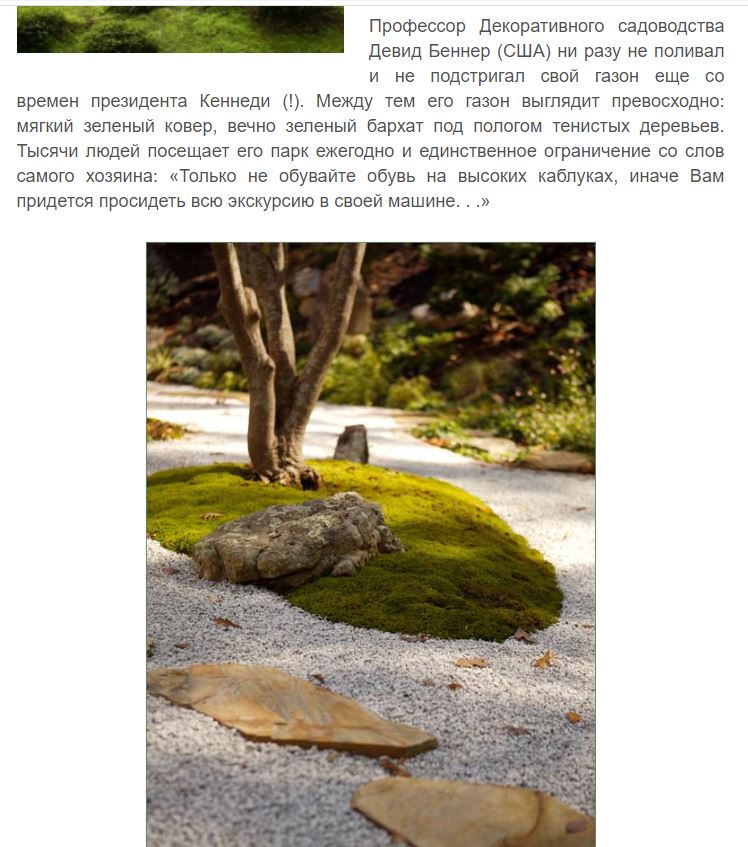 Фото Материал для статьи и иллюстрации подобраны мною из разных англоязычных источников. Перевод мой.