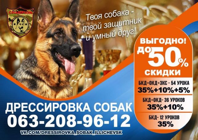 Фото Дрессировка собак Одесса и область 1