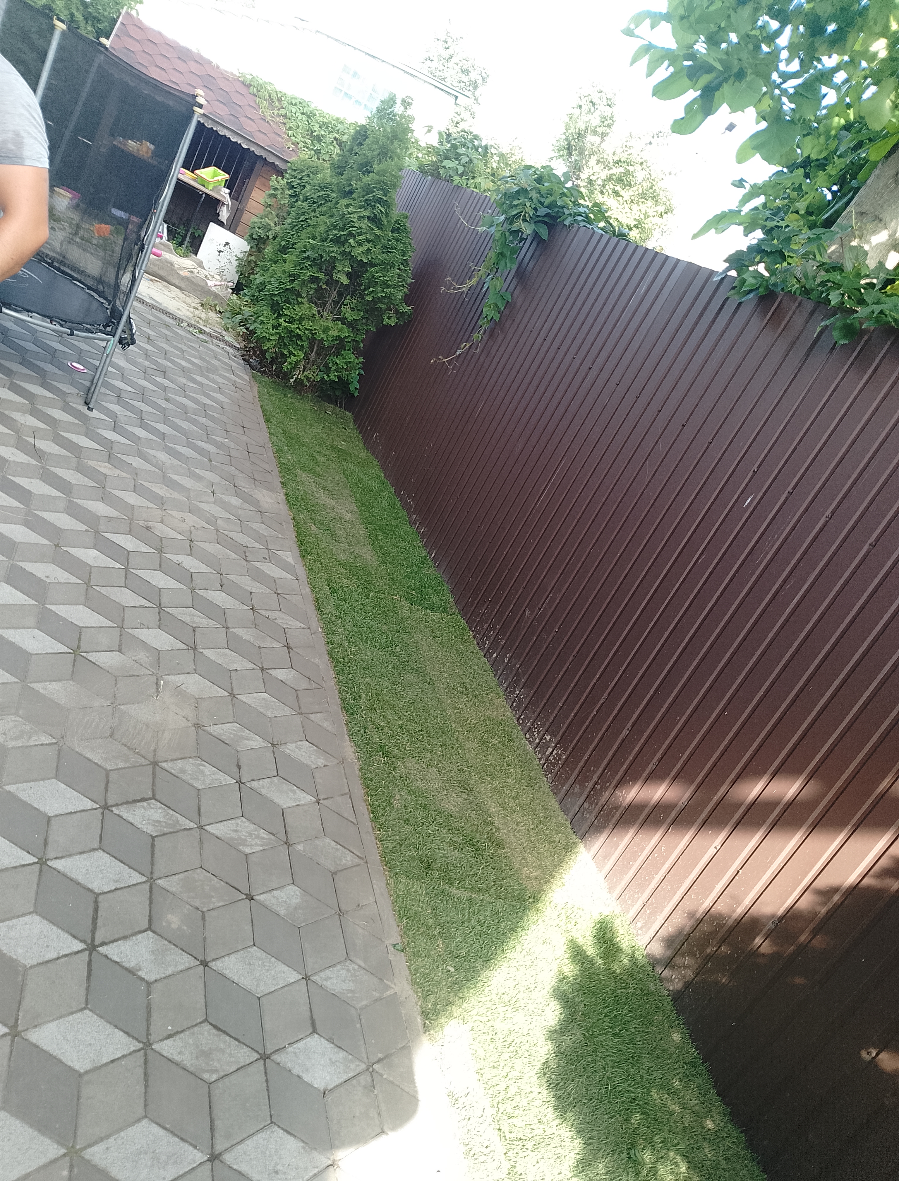 Фото Газон під ключ 