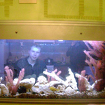 Обслуживание аквариумов. Оформление аквариумов. Дизайн аквариумов