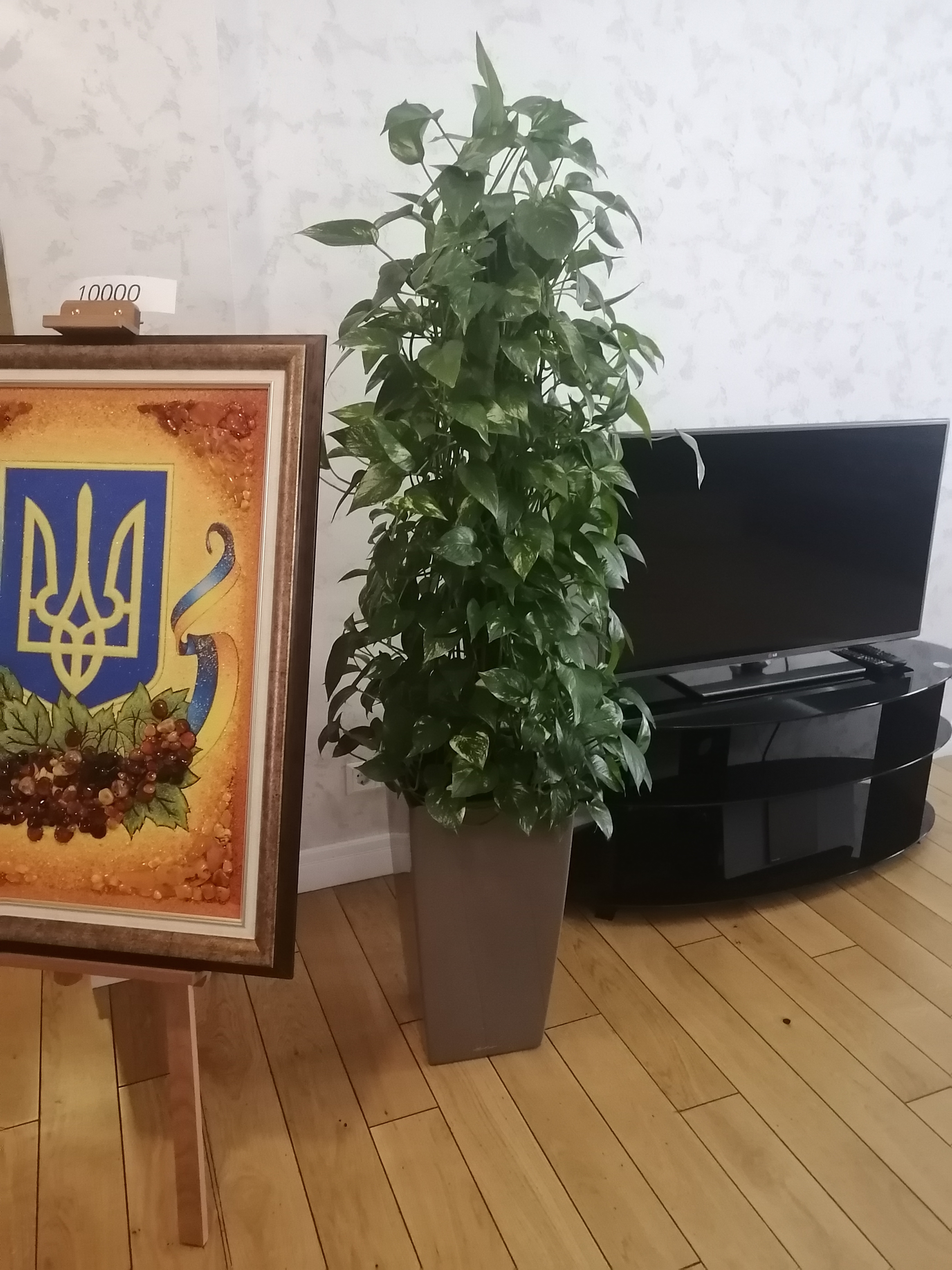 Фото Догляд рослин