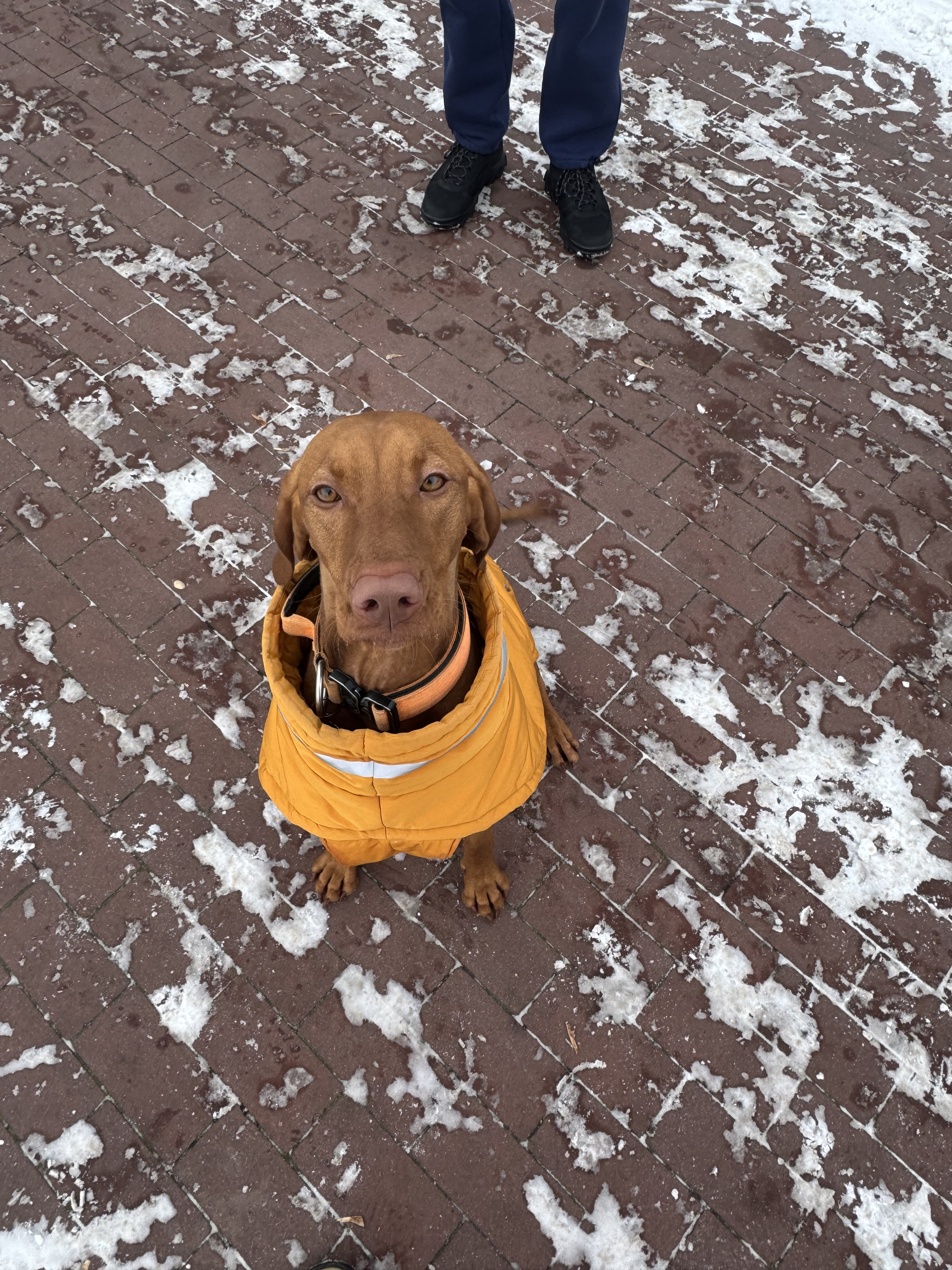 Фото Фотоотчет с прогулки)