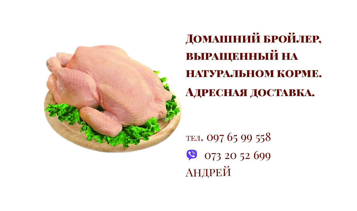 Фото Дизайн визитки для продавца бройлеров, работа была выполнена за 40 мин, заказчик остался очень доволен.