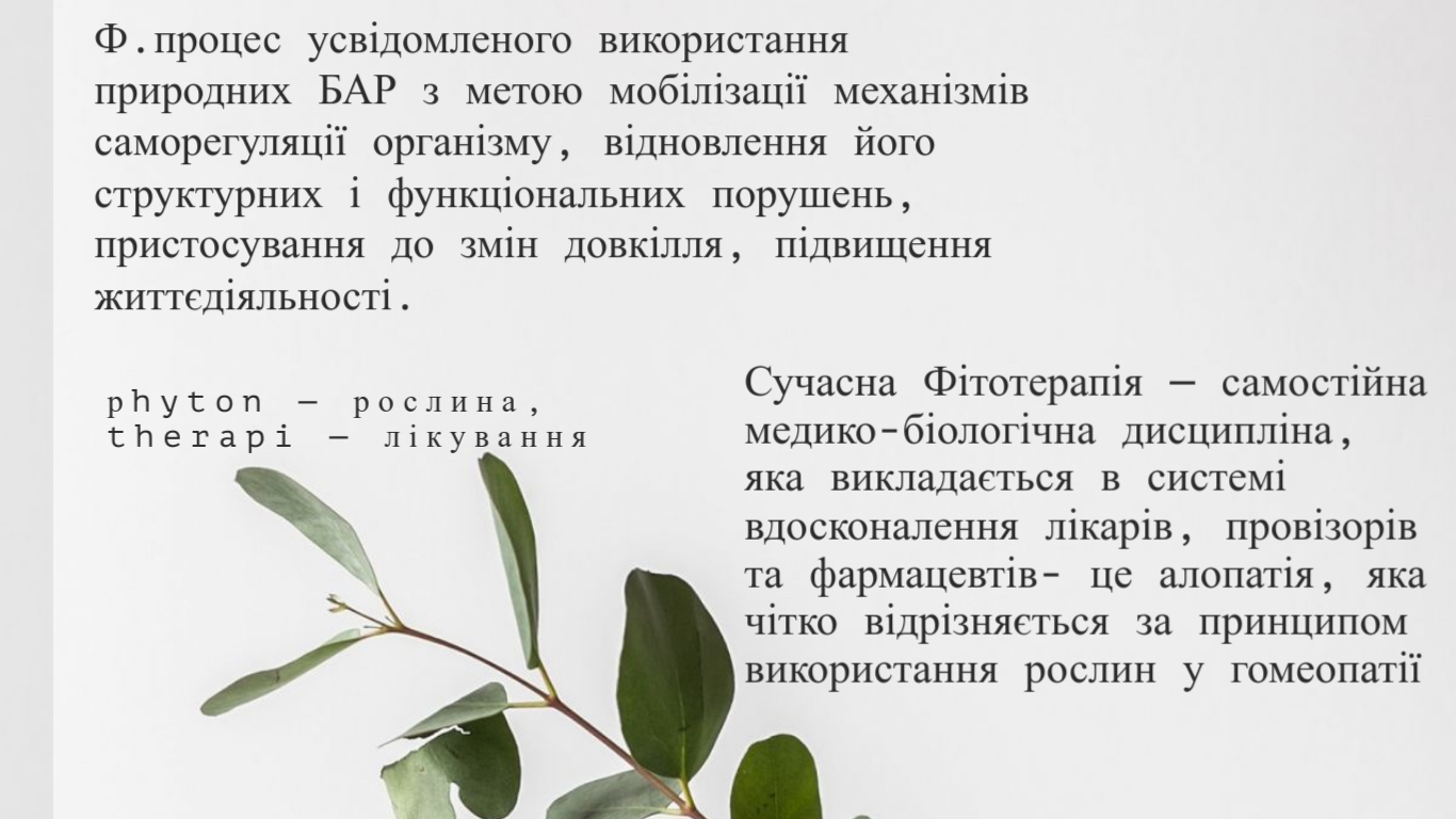 Фото Зразок презентацій