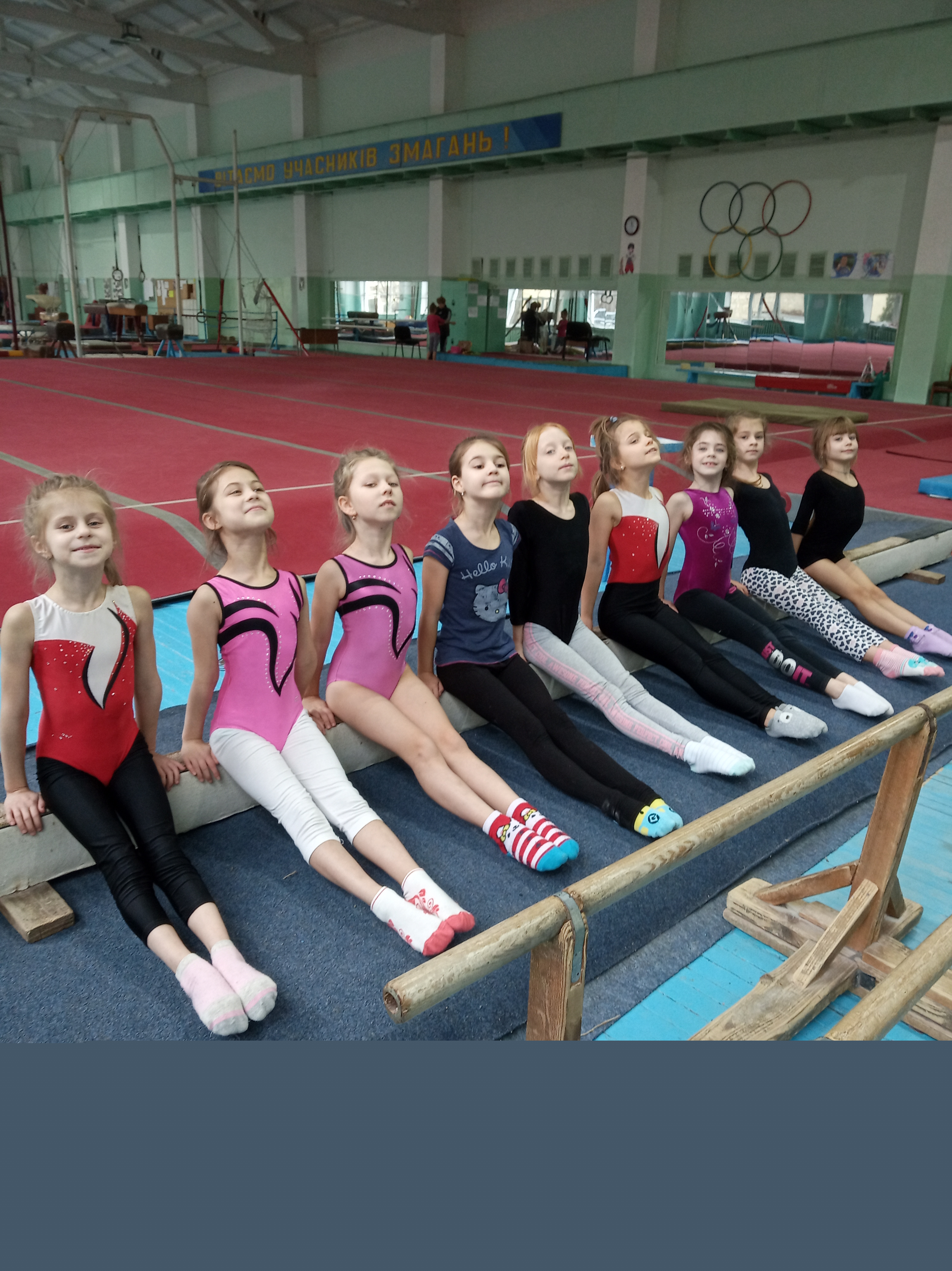Фото Тренер зі спортивної гімнастики 1
