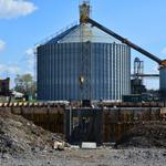 Зеноханилища