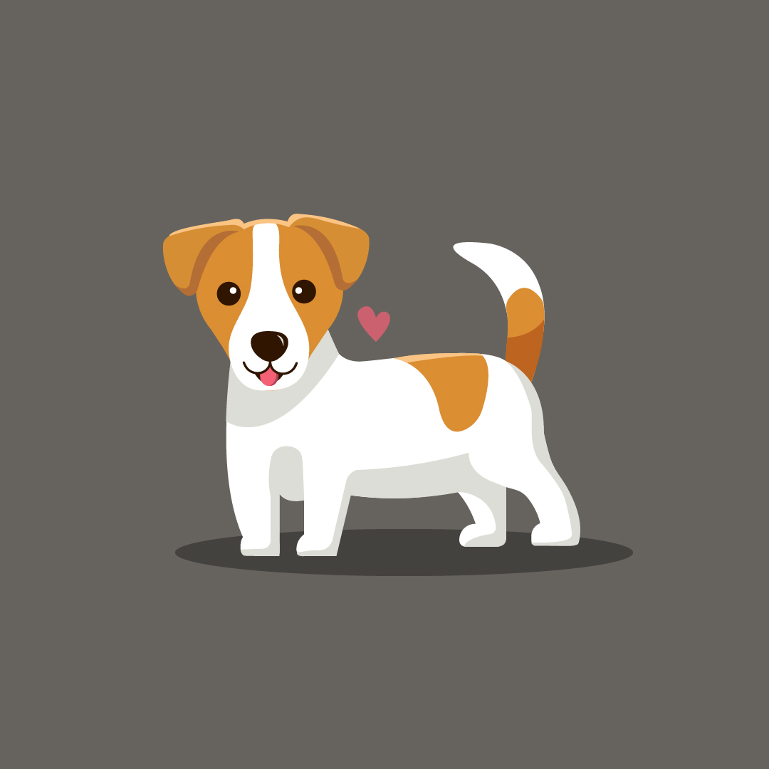 Фото Animals Illustrations 5