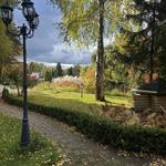 Озеленення та благоустрій ділянки | Київ та область