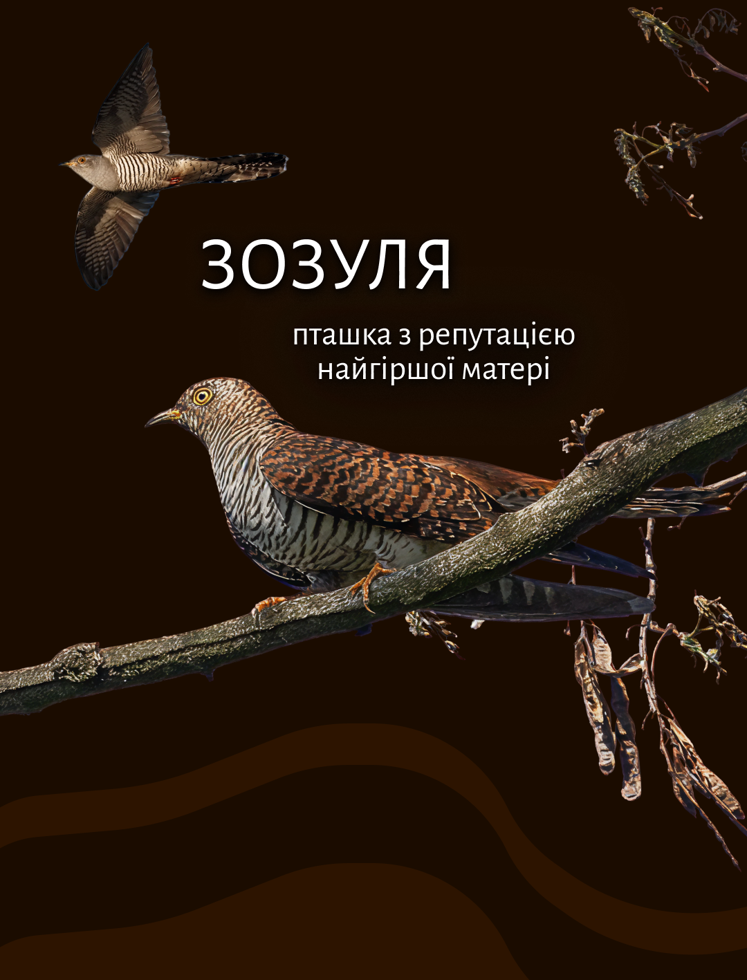 Фото Розробка поста для соціальних мереж. Створила ідею, підібрала шрифт та стиль сторінки, виконала дизайн у фірмовому стилі. На роботу надд цим постом витрачено близько 1 години.
