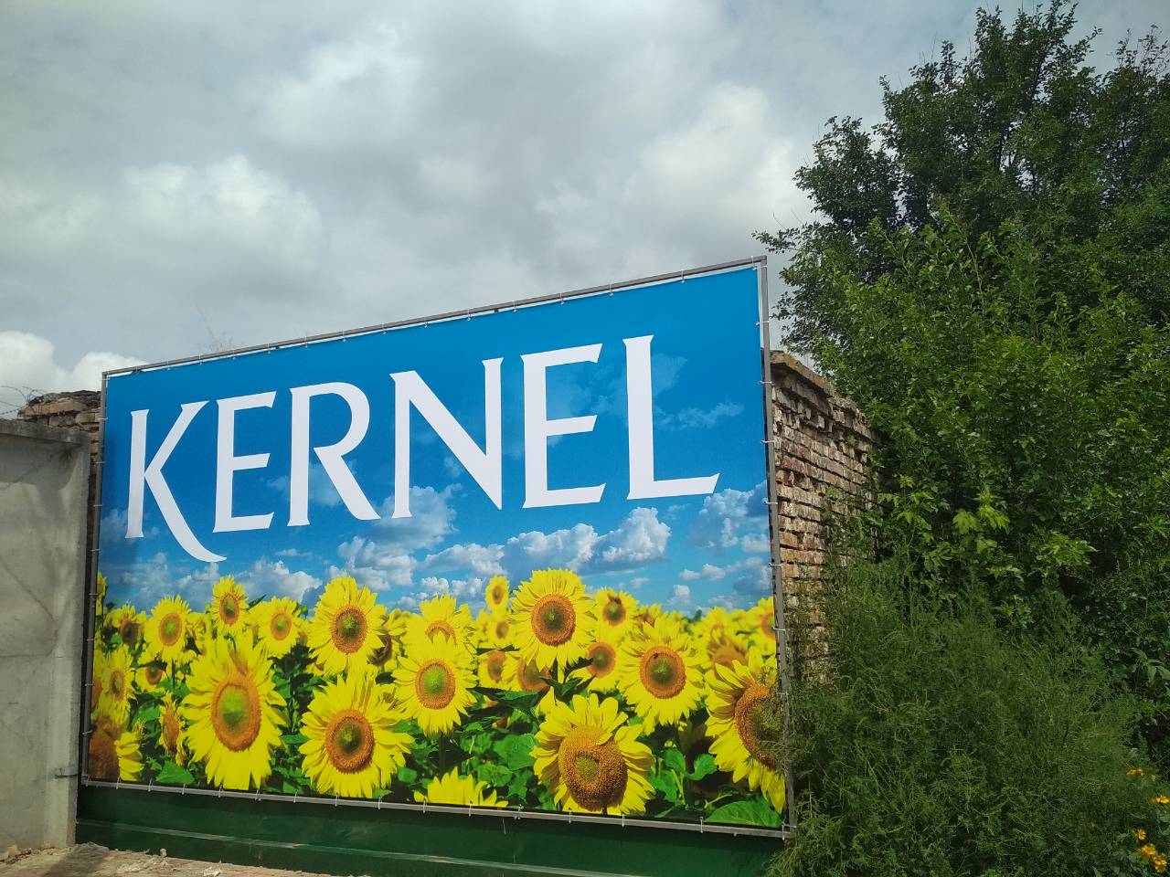 Фото ПЕЧАТЬ НА ПЛЕНКЕ, БАНЕРАХ, БУМАГЕ, ХОЛСТЕ 1