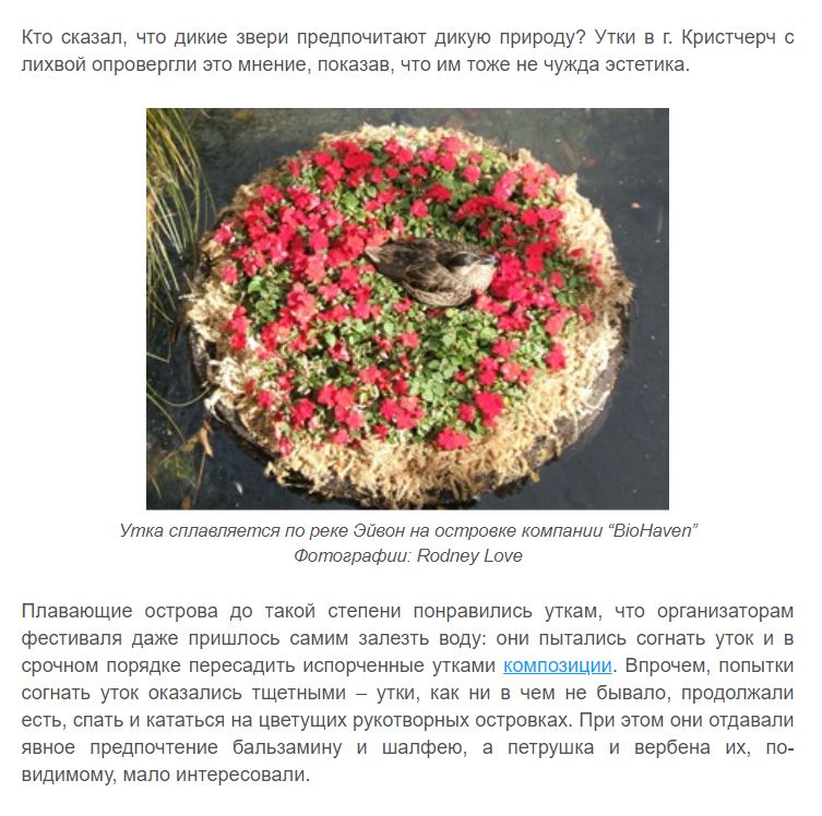 Фото Мой перевод статьи + подобранные мною иллюстрации. 