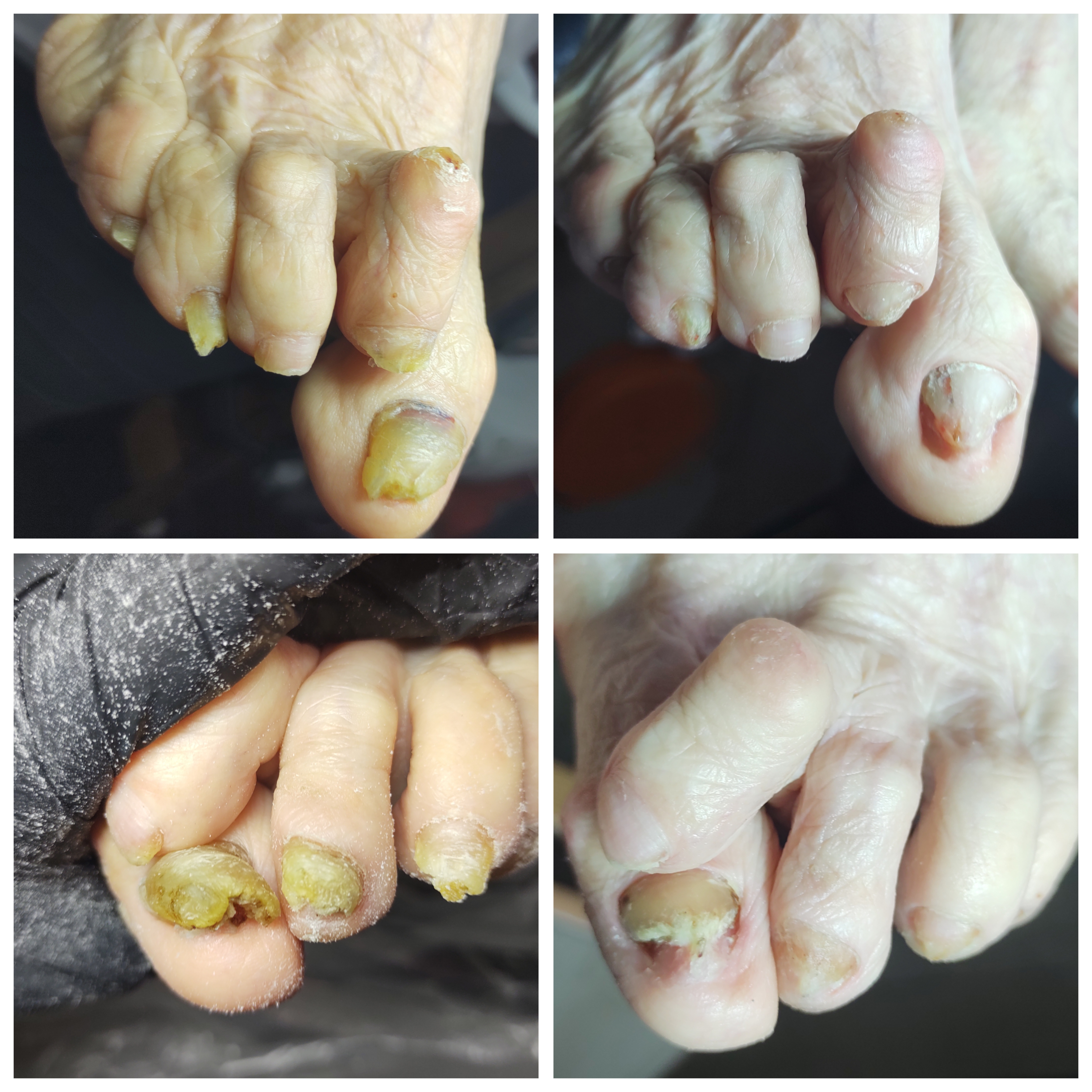 Фото Подолог