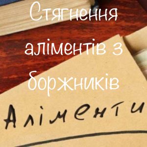 Фото Взыскание алиментов 1
