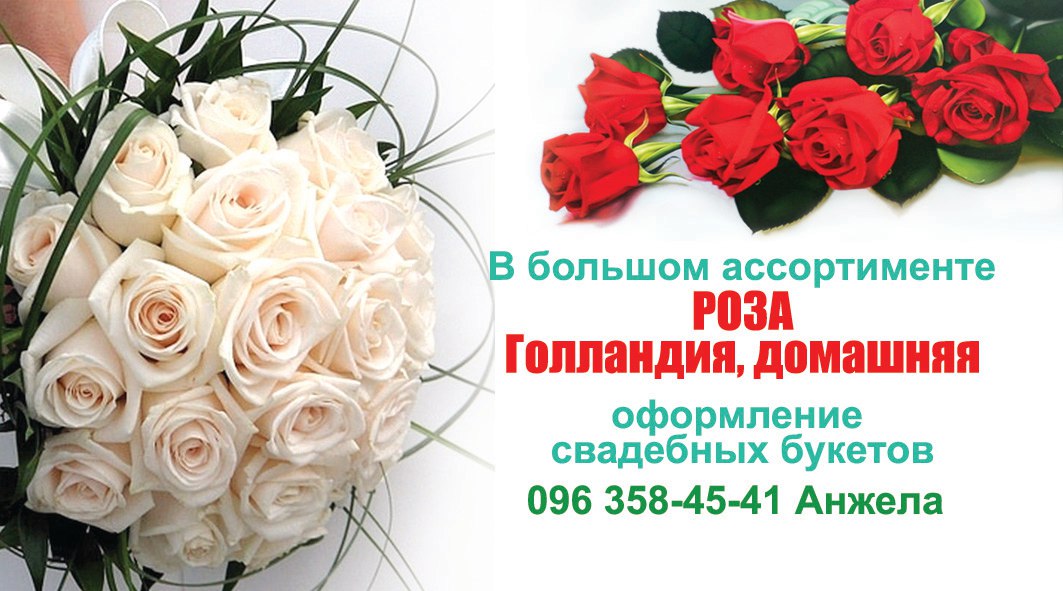 Фото Дизайн визитки