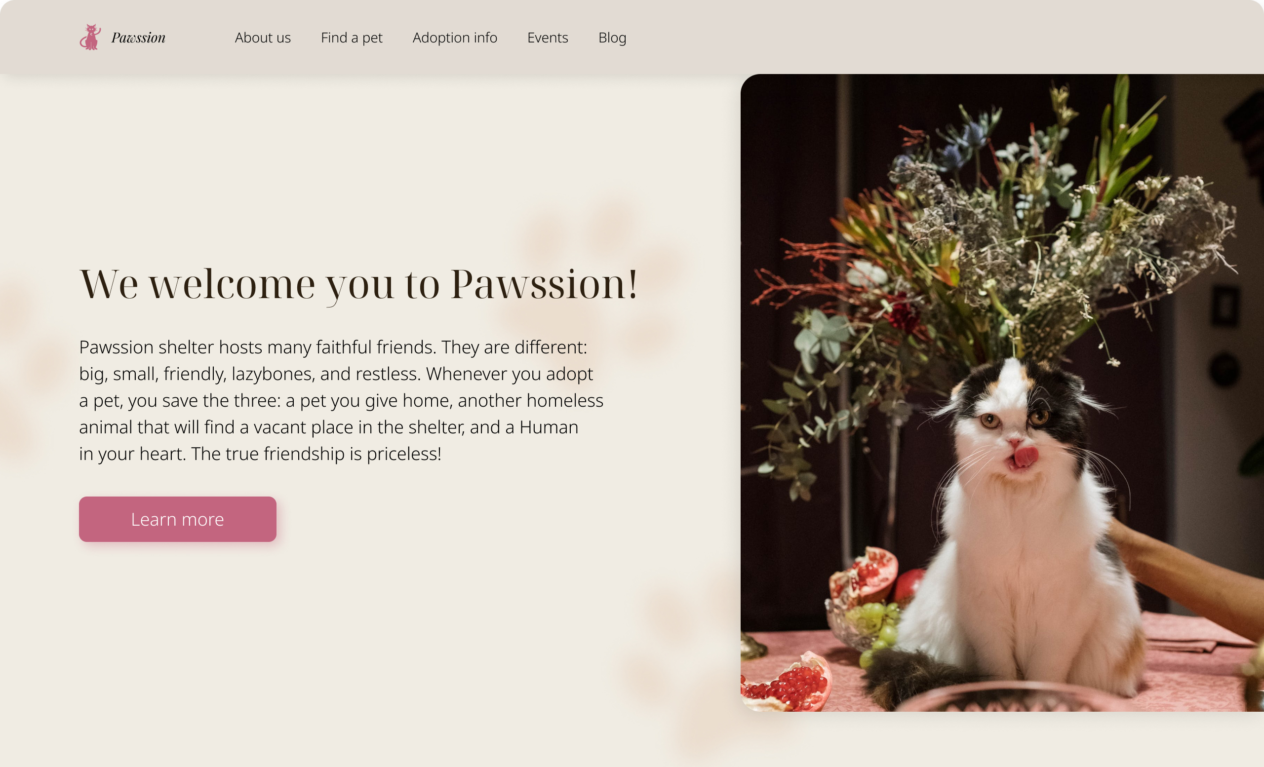 Фото Дизайн Landing Page 1