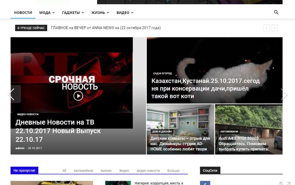Фото Автонаполняемые сайты на Wordpress 1