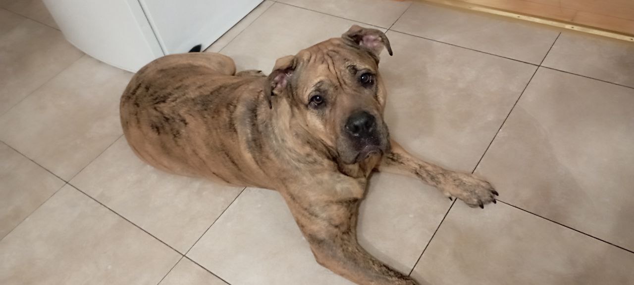 Фото Есма на перетримці. Чудова,грайлива дівчинка.