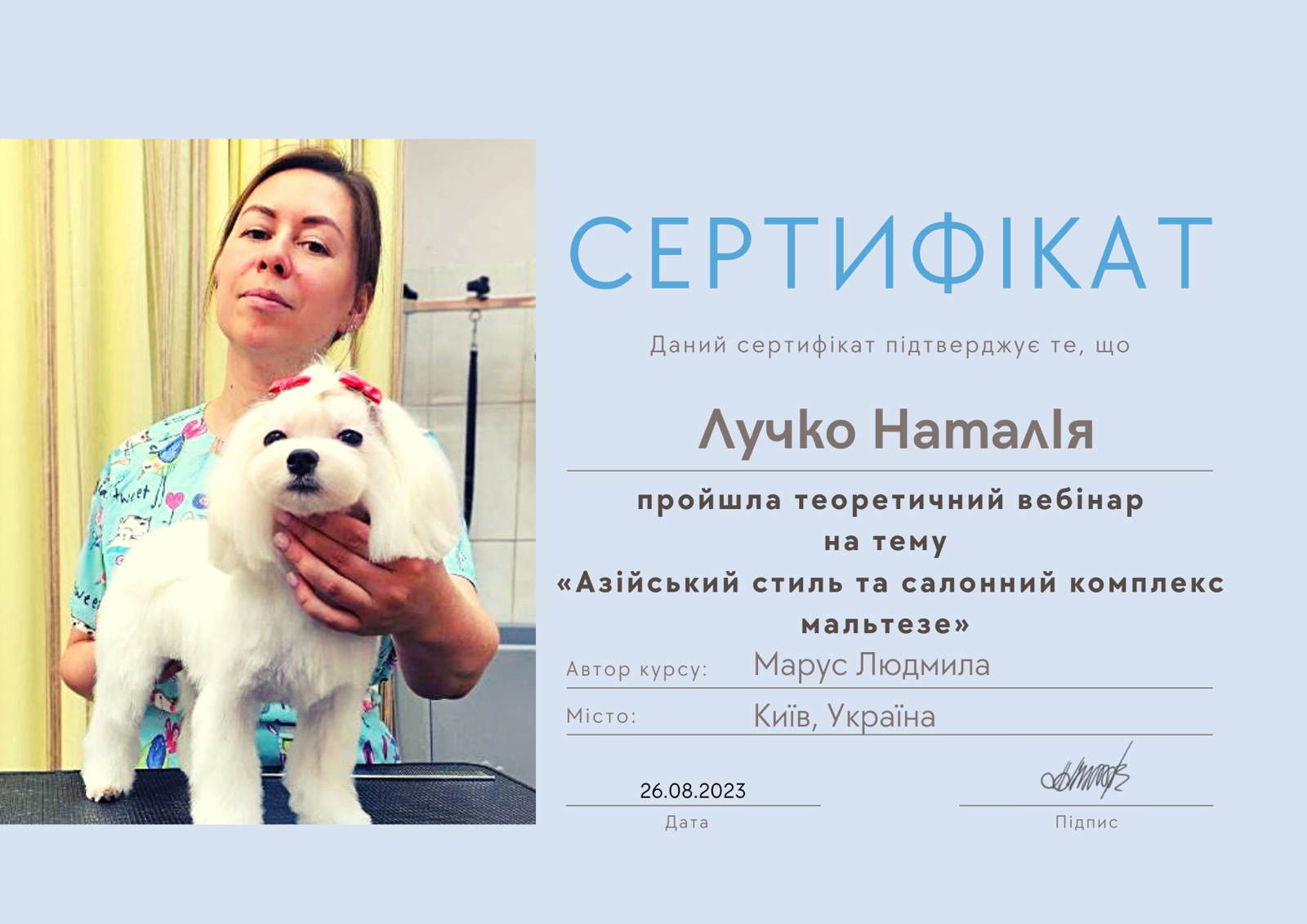 Фото Стрижки Мальтезе,Ши тсу, Йорк. В Азиатском стиле + креатив
