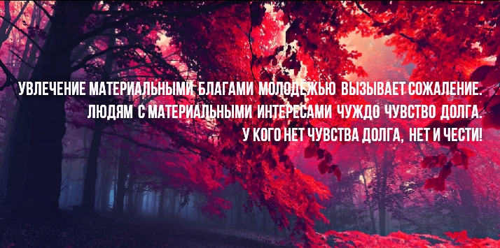 Фото Создание контента для соц сети ! 3