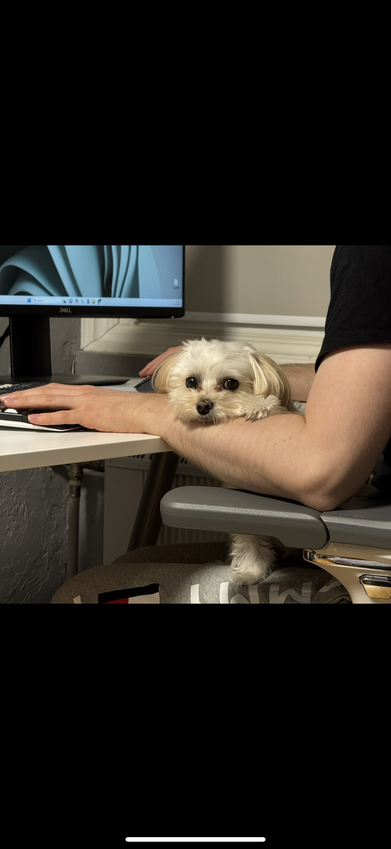 Фото рада возвращаться ко мне на уикенд 
