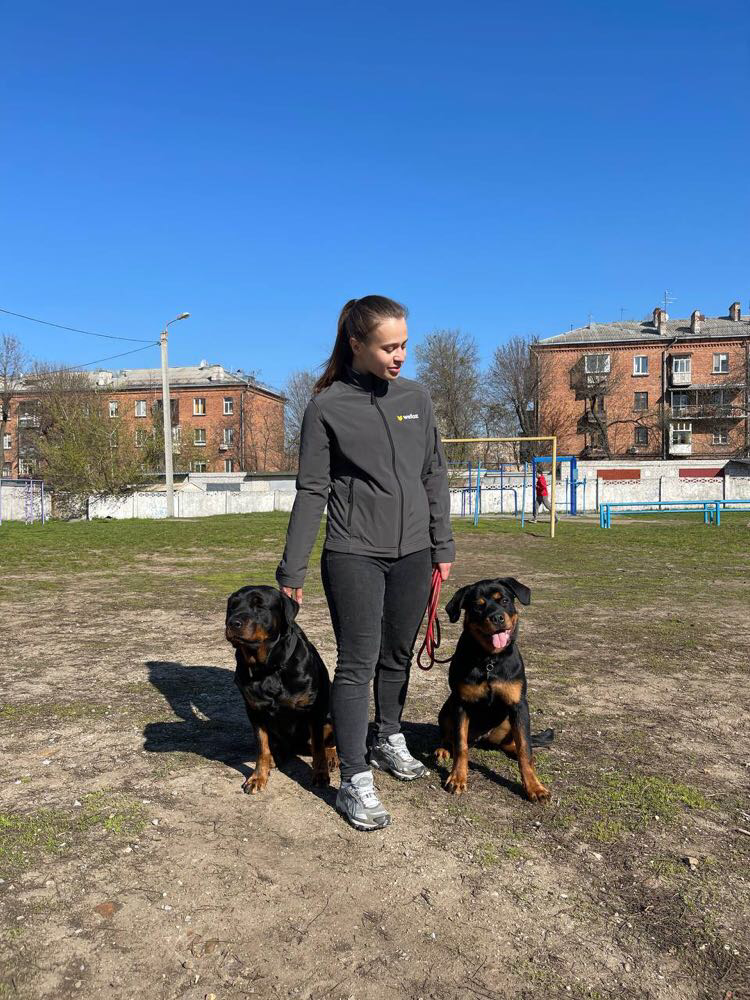 Фото Выгуляю вашу собаку 4