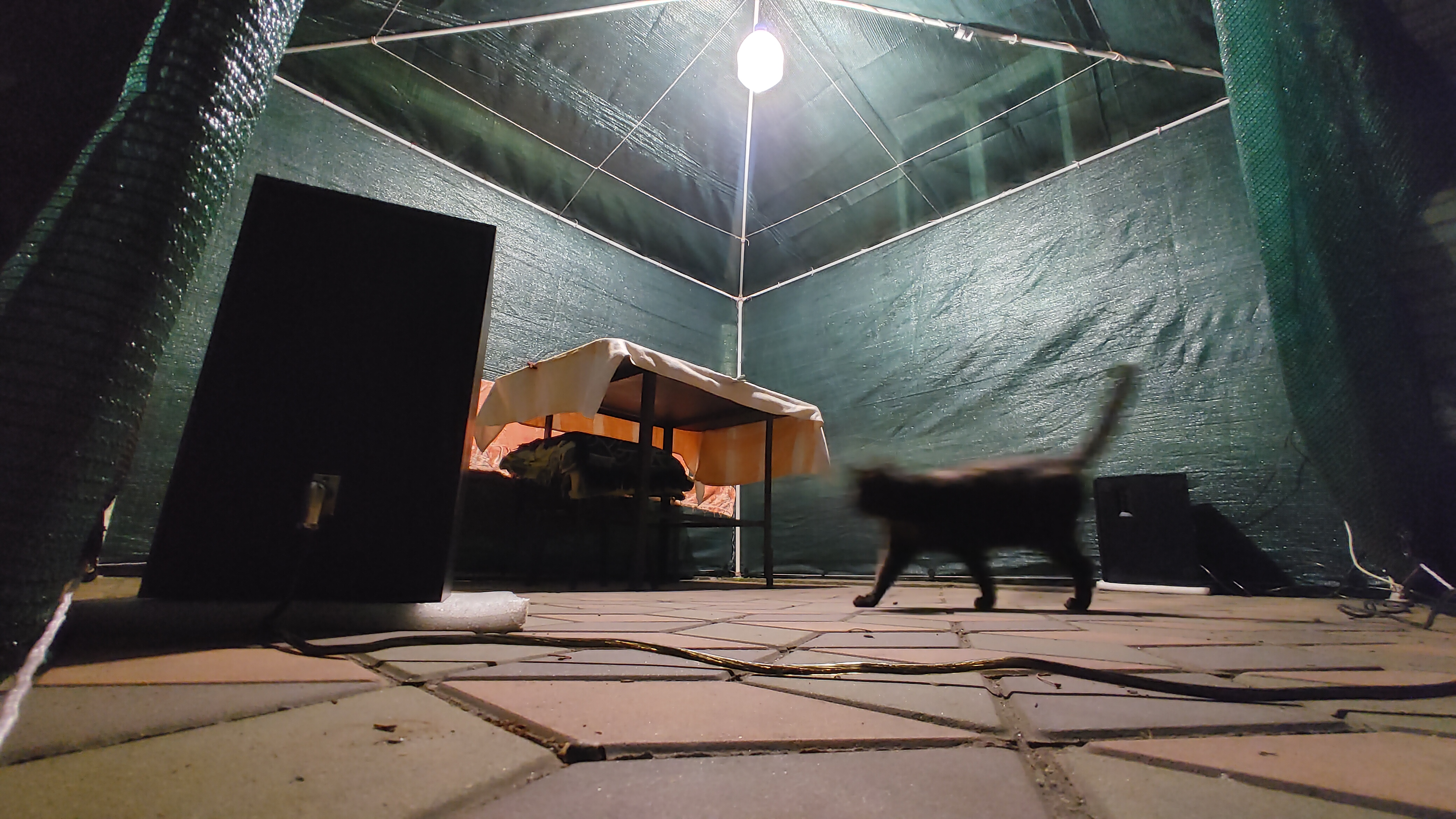 Фото альтанка. 60 м мотузки, 50 м² 85% затіняючої сітки, сотня вузлів, світло, розетка, коти/собаки