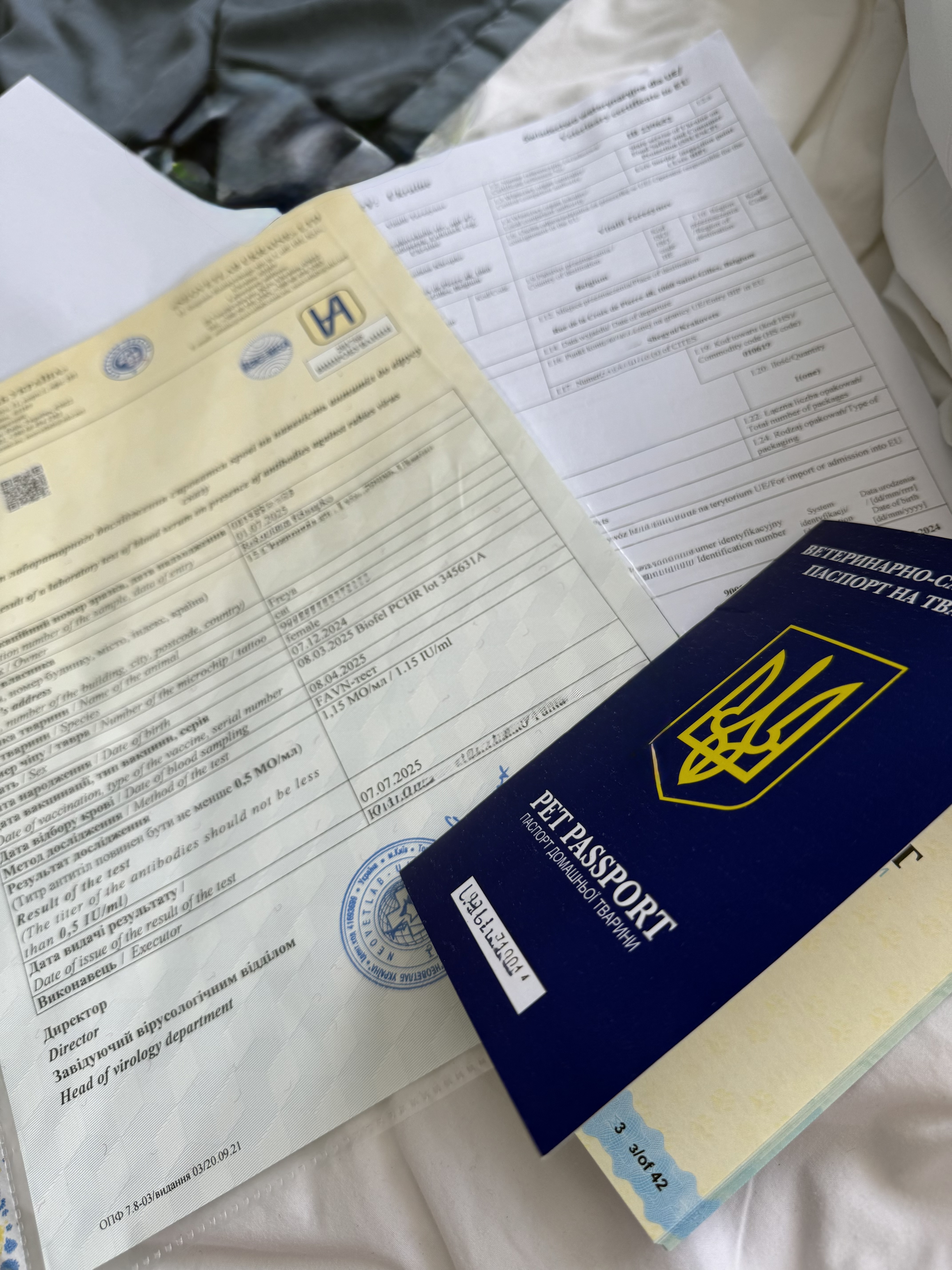 Фото Перевезення тварин. Онлайн консультація  3
